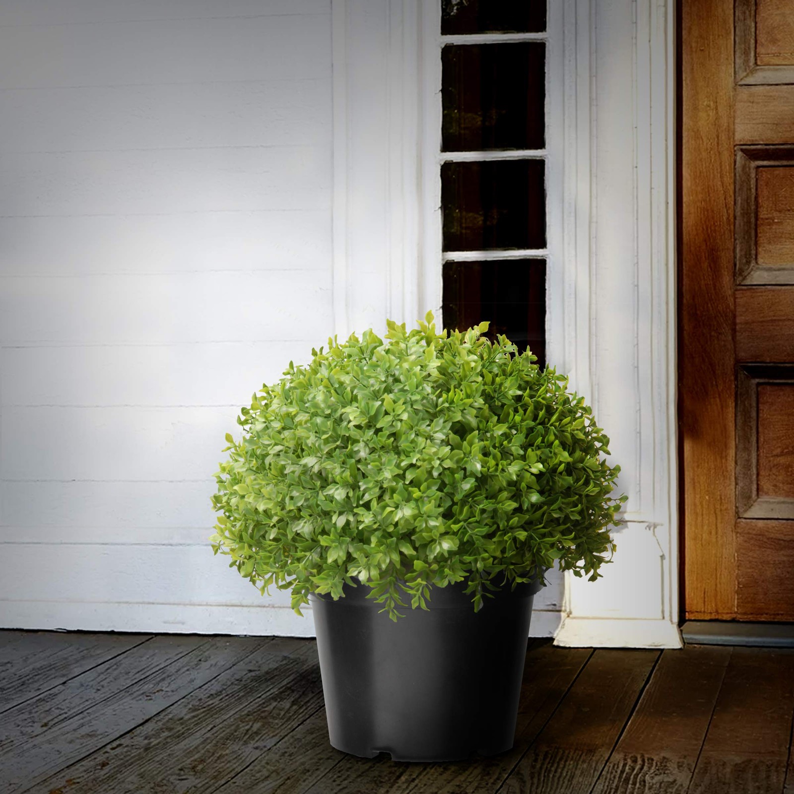 Artificial Shrub | Includes Pot Base | Globe Japanese Holly Bush – 13 Inch