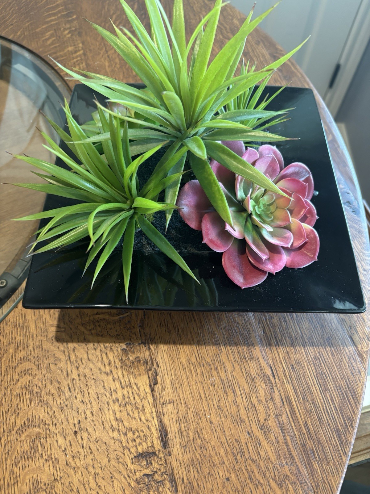 Pier 1 Imports Faux Succulent & Black Glass Organic Arrangement Retired