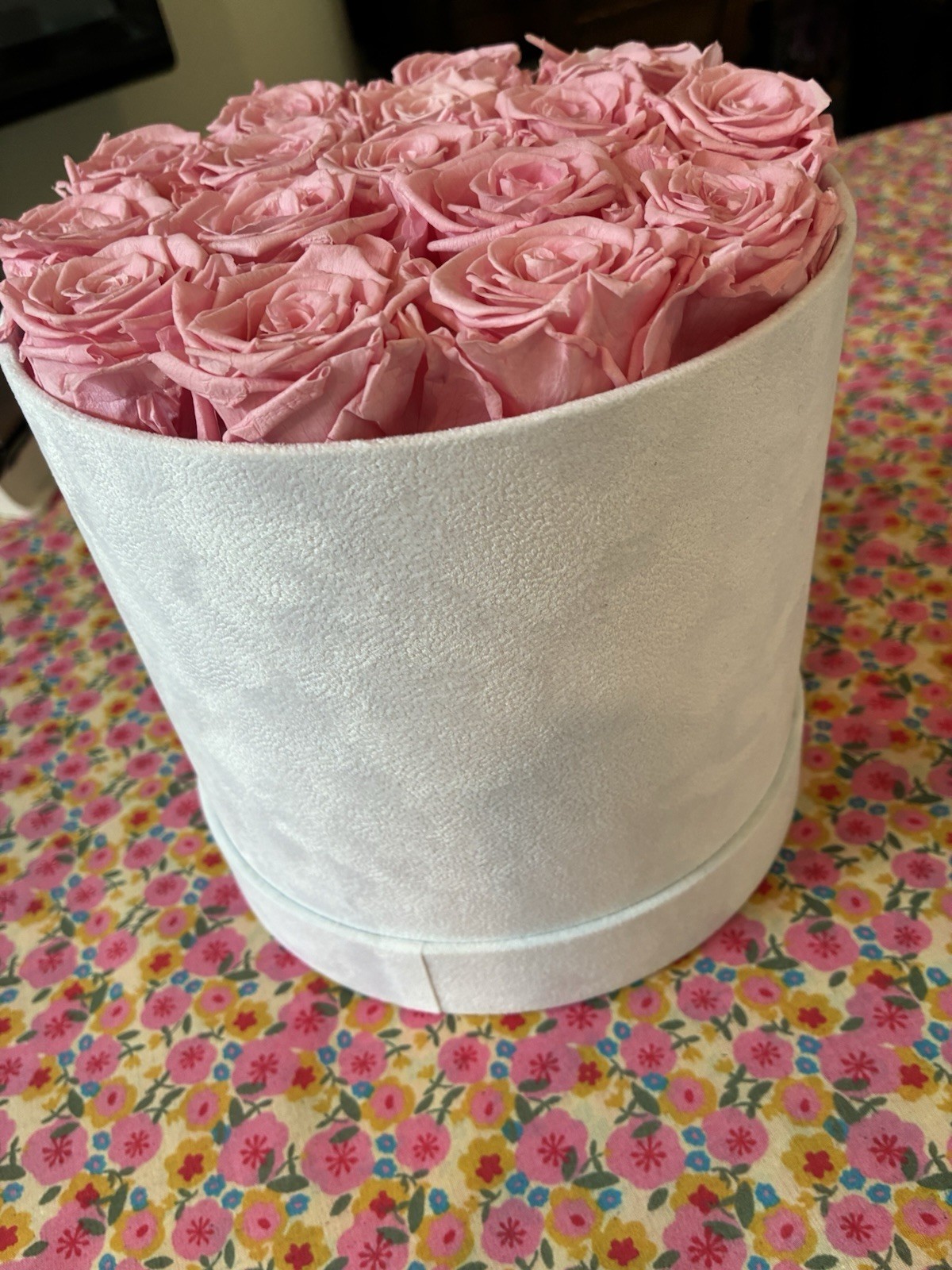 Cyrabota Luxury Preserved Pink Roses in White Suede Box 16 Count