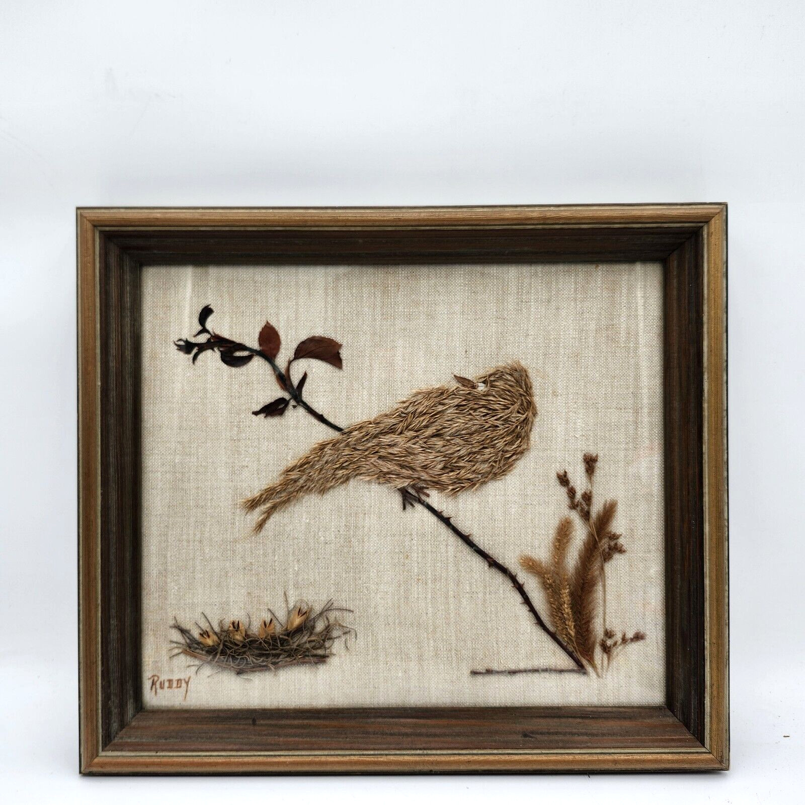 Vintage dried pressed flowers weeds taxidermy wall art bird 14 x 16 wood frame