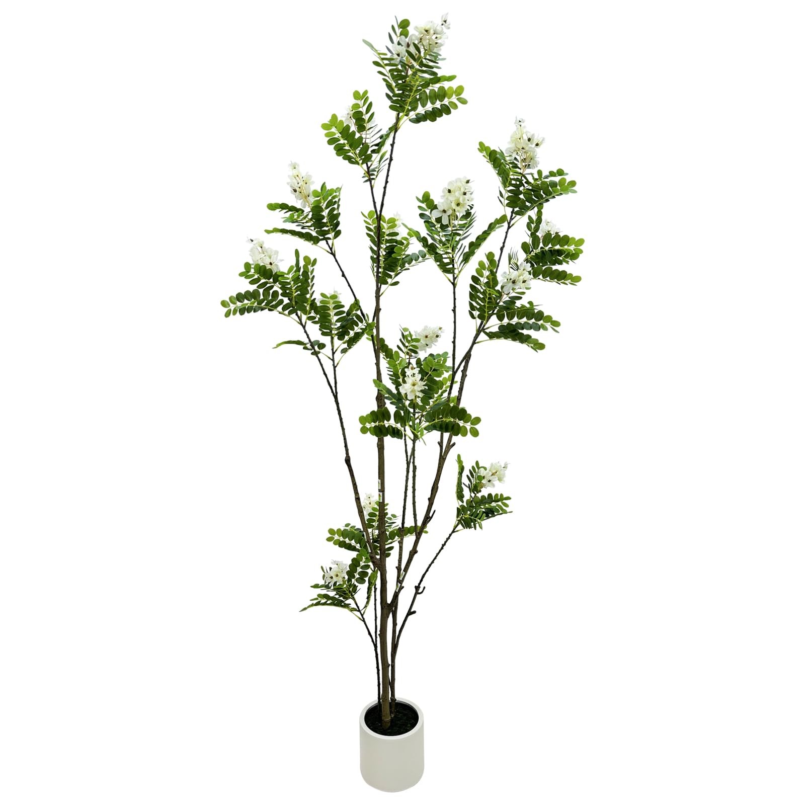 6FT Black Locust Tree, White Flower Plant Indoor Outdoor Decor
