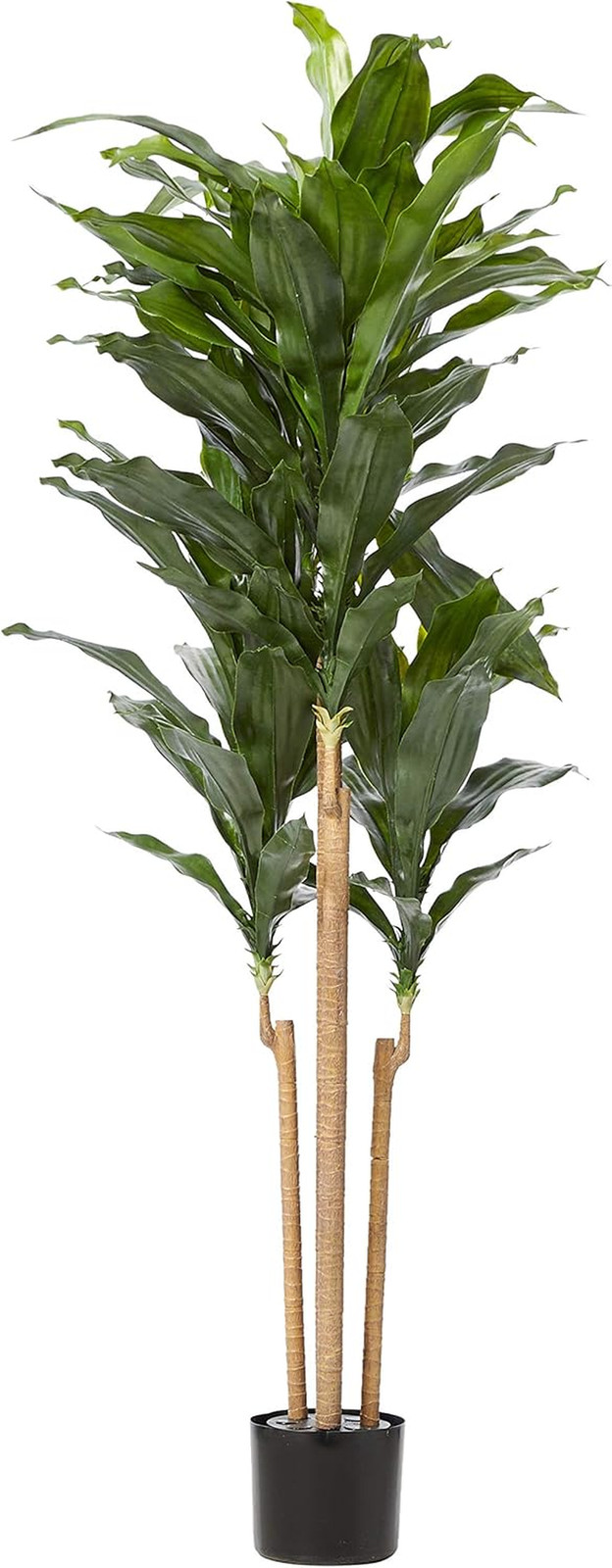 Vibrant 5Ft. UV Resistant Dracaena Plant for Indoor/Outdoor Decor