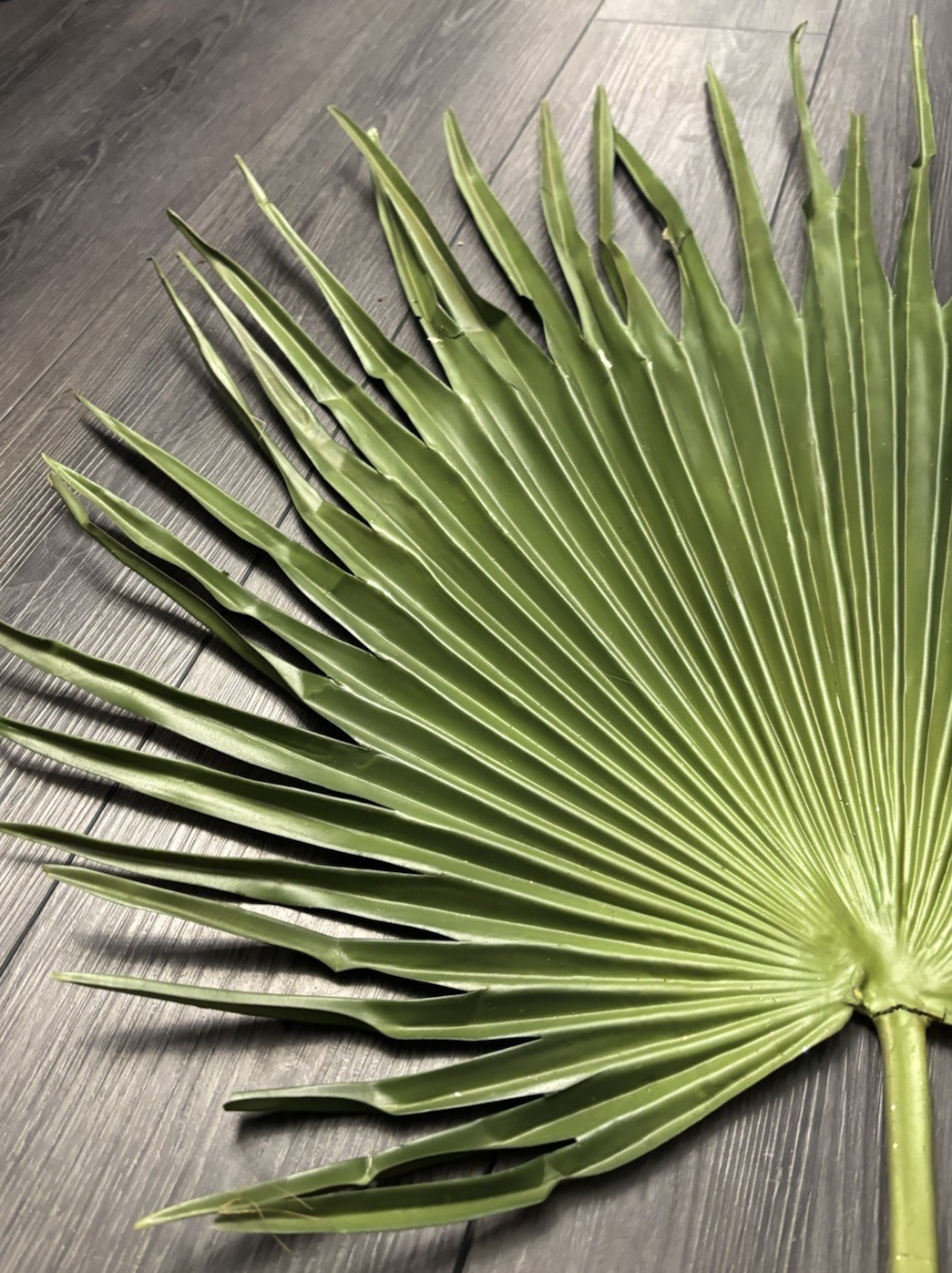 Large Fan Palm Leaf Stem 58” Tropical Boho Coastal Wedding Home Decor Prop