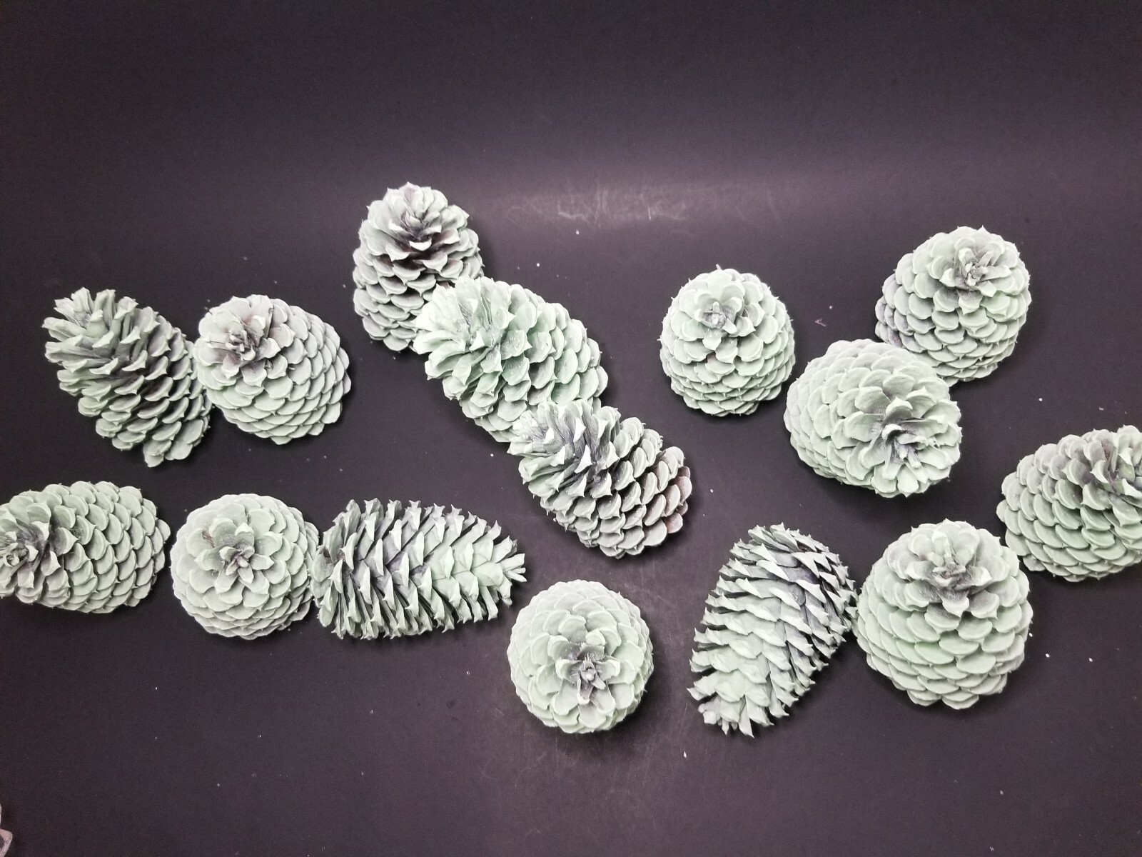 🎅15 Mint Green Pine Cones Hand Painted Natural Premium Ponderosa Cones