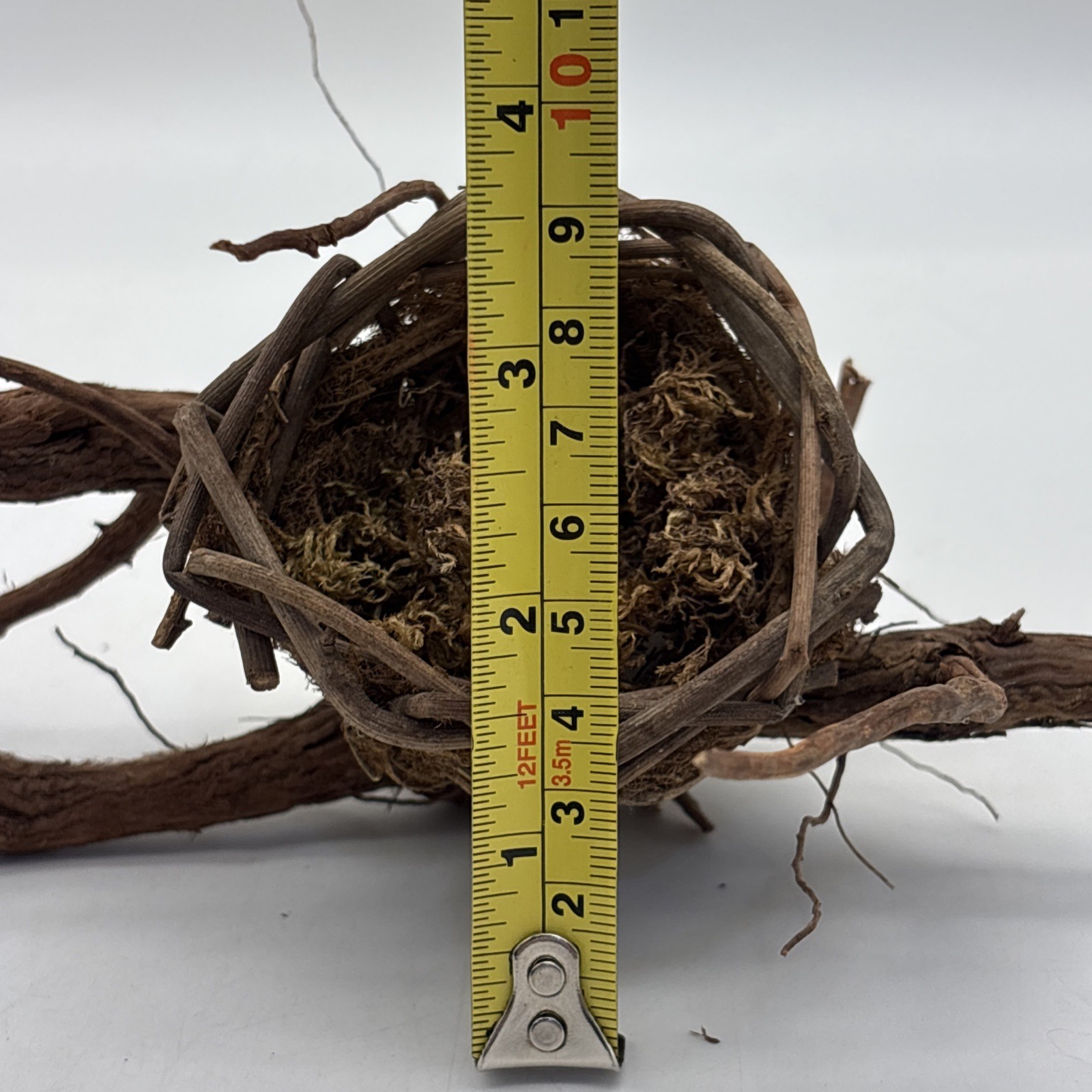 Bird nest Garden decorations, home, floral accent, crafts, center piece