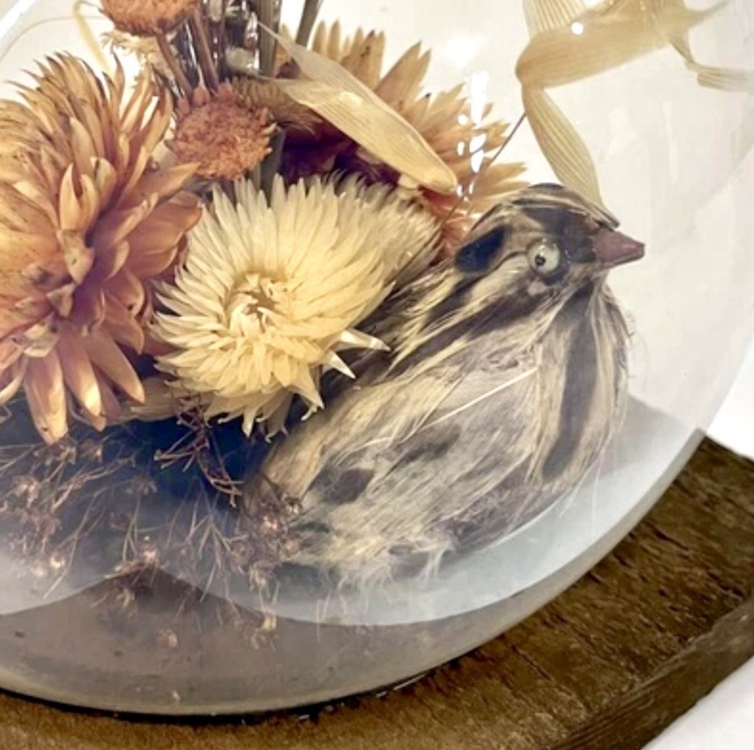 Vintage 60s Dried Flower Glass Terrarium Bird Floral Strawflower Daisy Bouquet