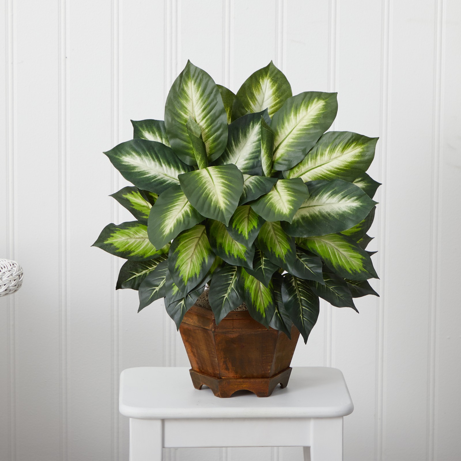 Nearly Natural Triple Golden Dieffenbachia with Wood Vase in Green/Black