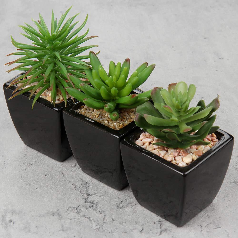 3 Pcs Small Succulents Black Ceramic Pots Faux Plants Modern Office Desk