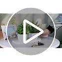 2 Pack Fake Plants Small Artificial Greenery Faux Plants Indoor for Home Farmhou