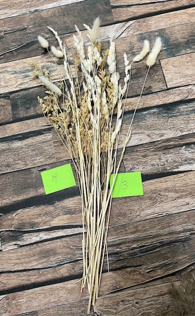 Natural Dried Pampas Grass ~ Boho ~ Home Decor ~ Wedding ~ 70 pcs