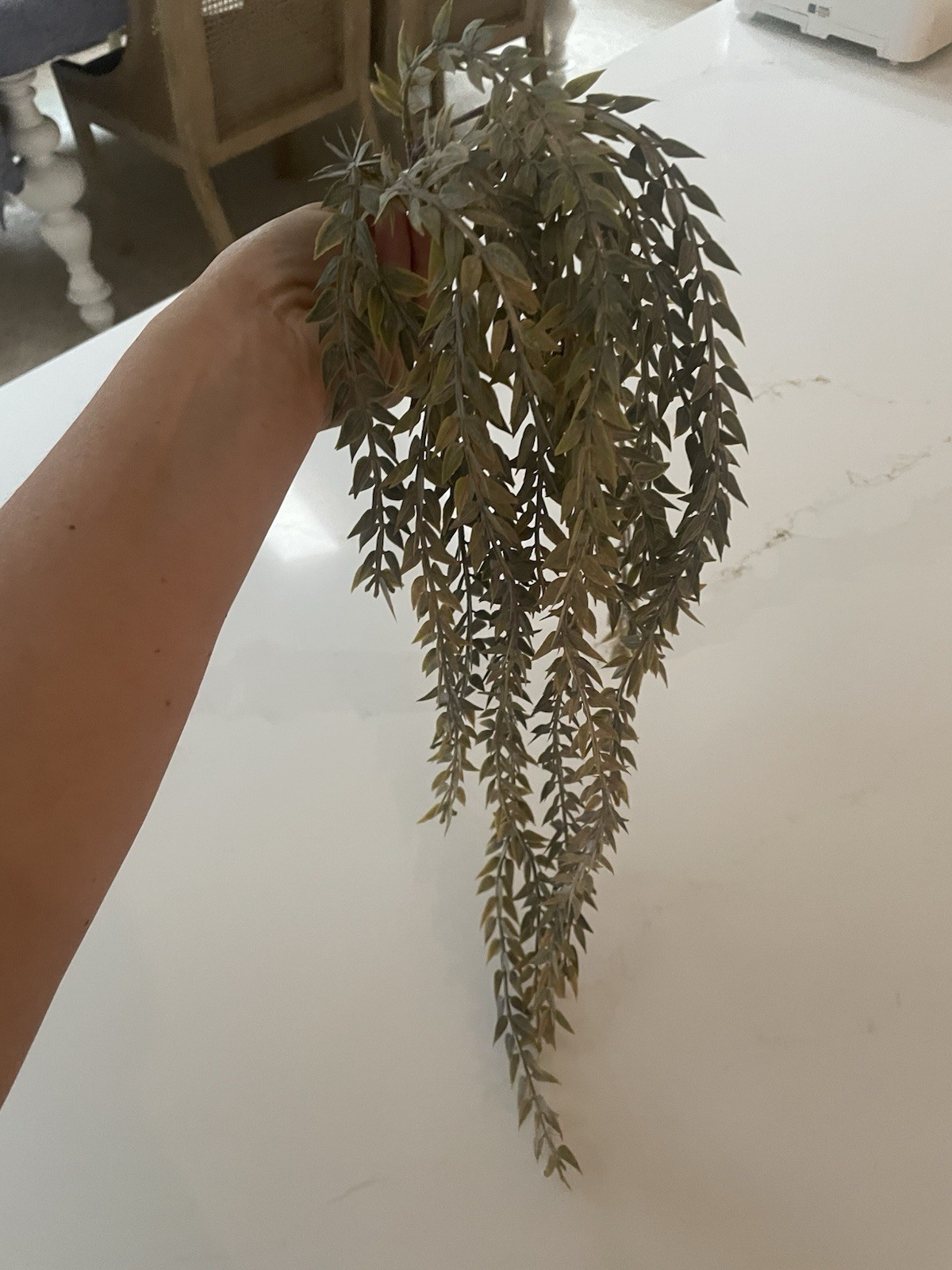 24 Inch Faux Trailing Plant Plastic Rustic Farmhouse