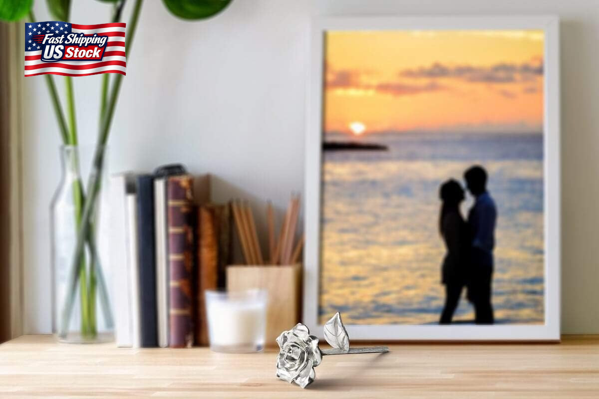 BESZONE Tin Rose 10Th Anniversary for Her Gift – Tin Gift 10 Year Wedding Annive