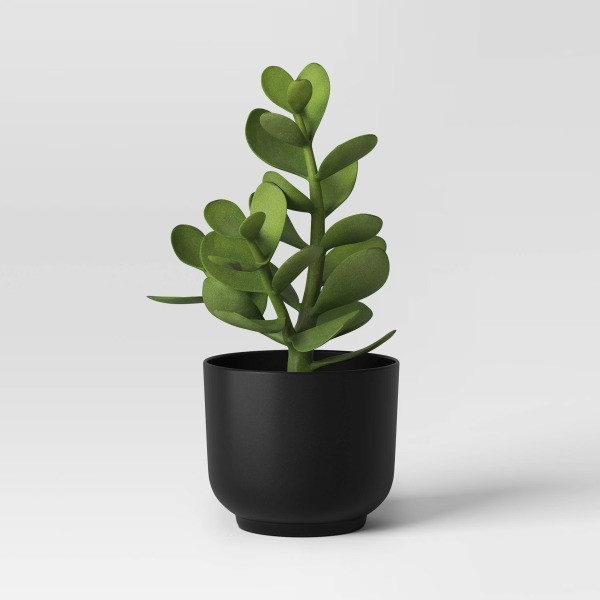 Succulent Artificial in Black Pot