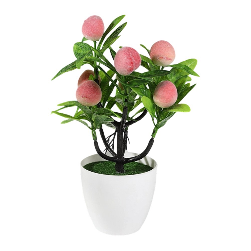 Indoor Fruit Bonsai Plant Decoration for Living Room Table Arrangement