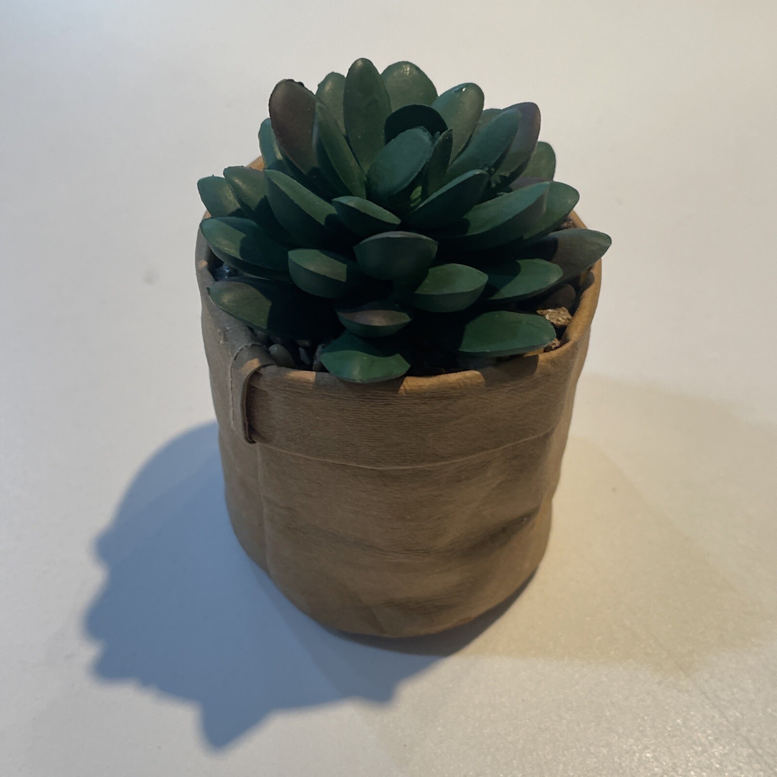 Demdaco Green Succulent Plant Kind Friendship 3 x 5 Acrylic Artificial Flower