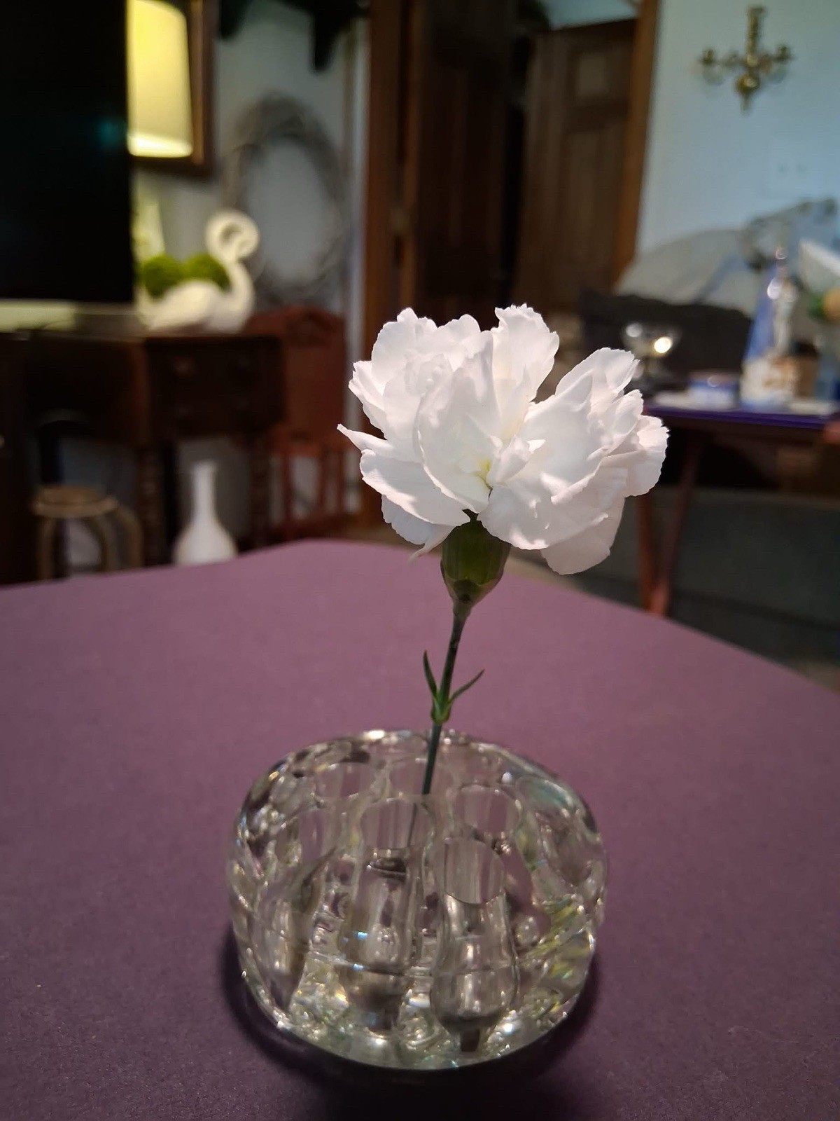 Clear Glass Flower Frog Multi-Hole Floral Arranger 3.5 in W x 1.5 in H