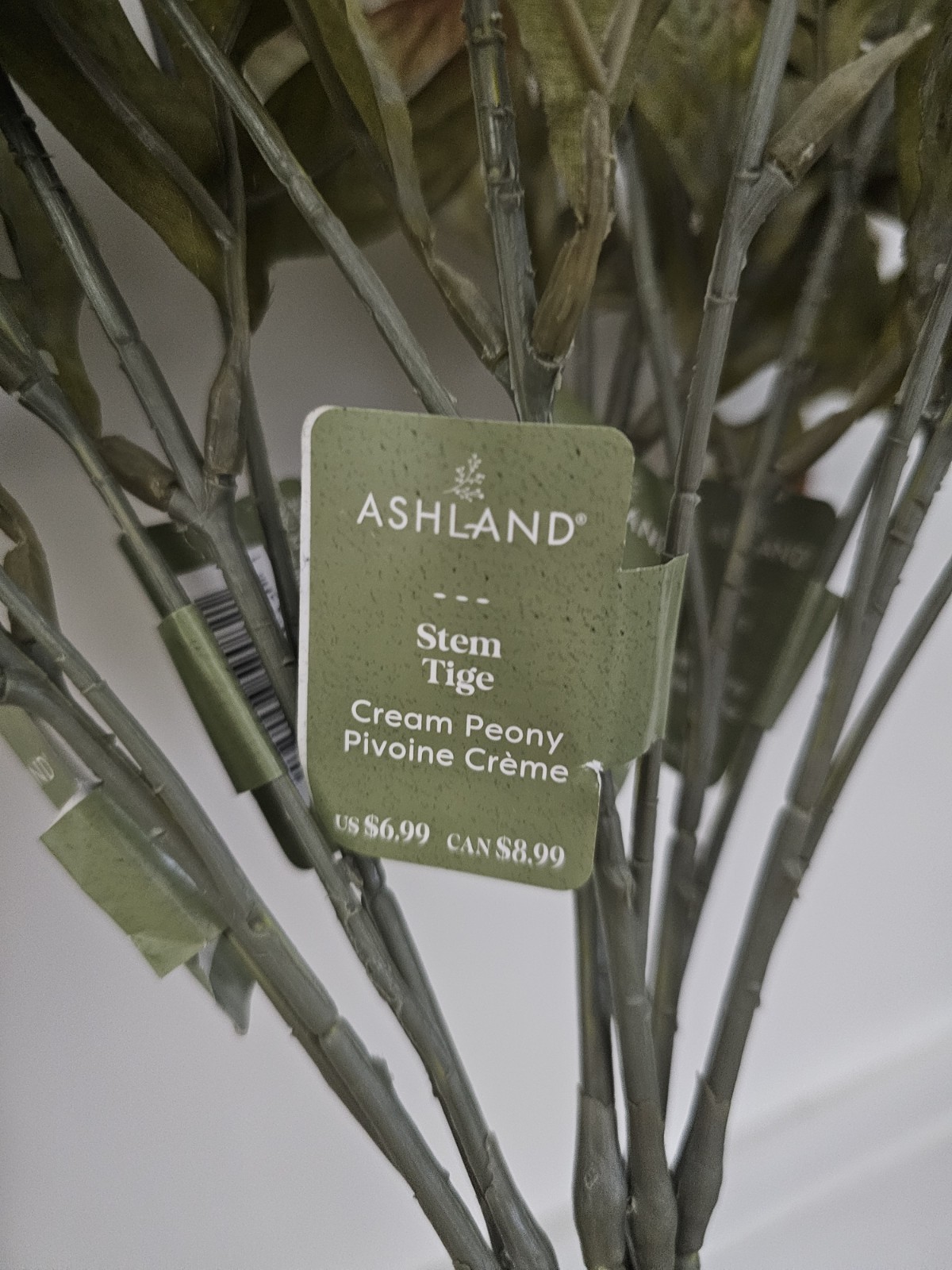 Brand New Viral Michael’s Ashland 28″ Cream Peony Stem – Set of 6