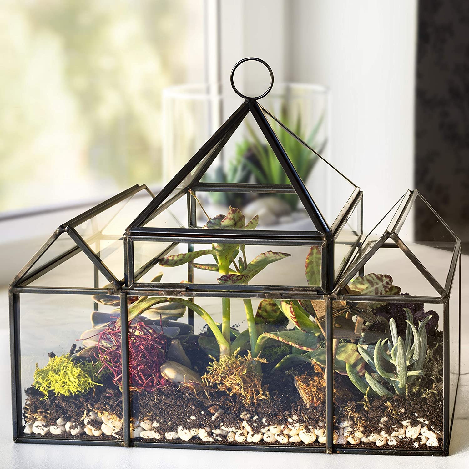 Deco Glass Geometric Castle Terrarium (25 x 12 x 21 cm) – Succulent & Air Plant