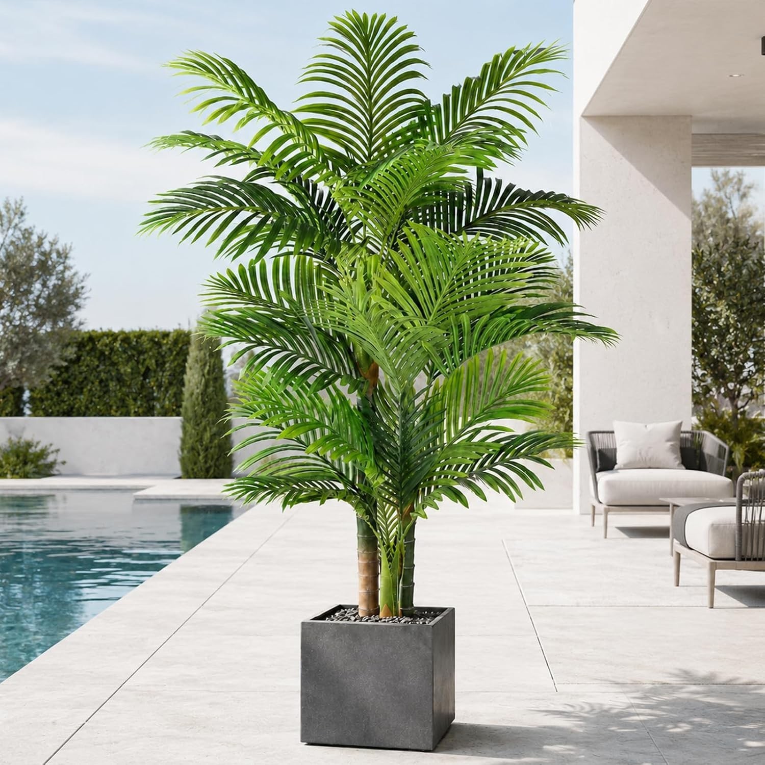 6ft UV Resistant Triple Golden Cane Palm Tree – Lifelike Indoor/Outdoor Decor
