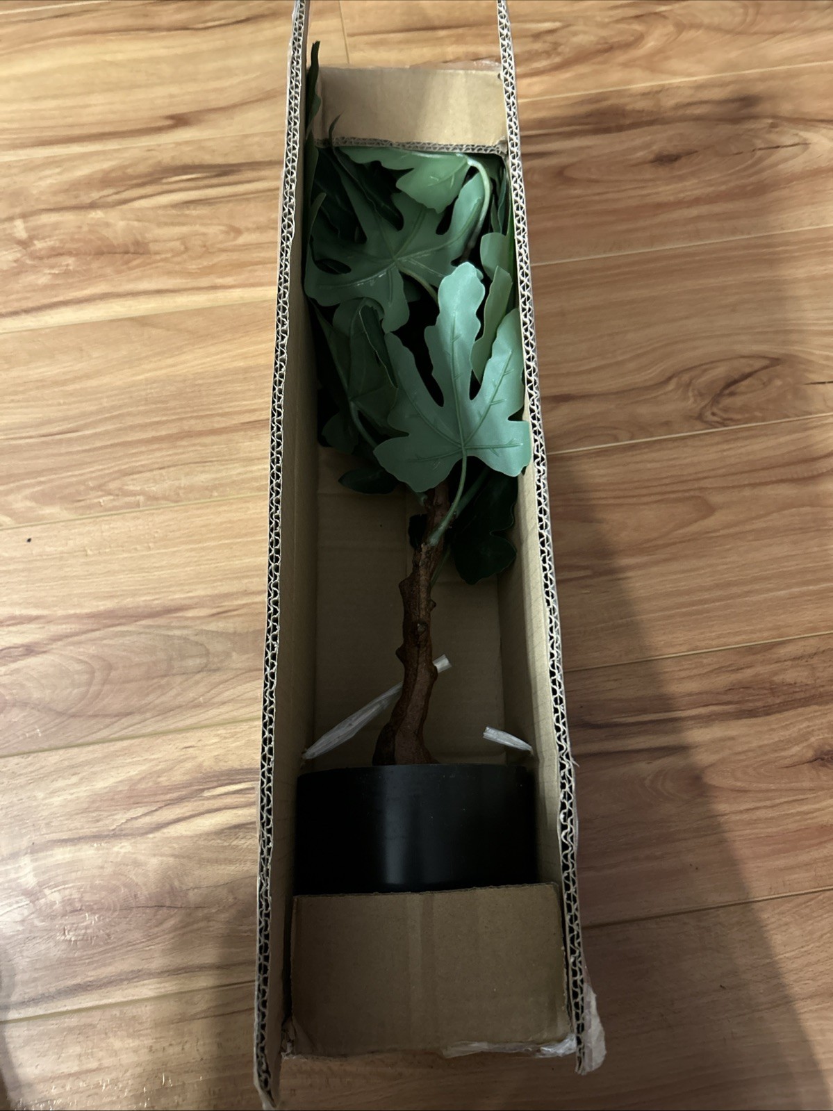 1 Ft Arborus Artificial Tree/Plant (Fig) For Home Decor. Need To Fluff