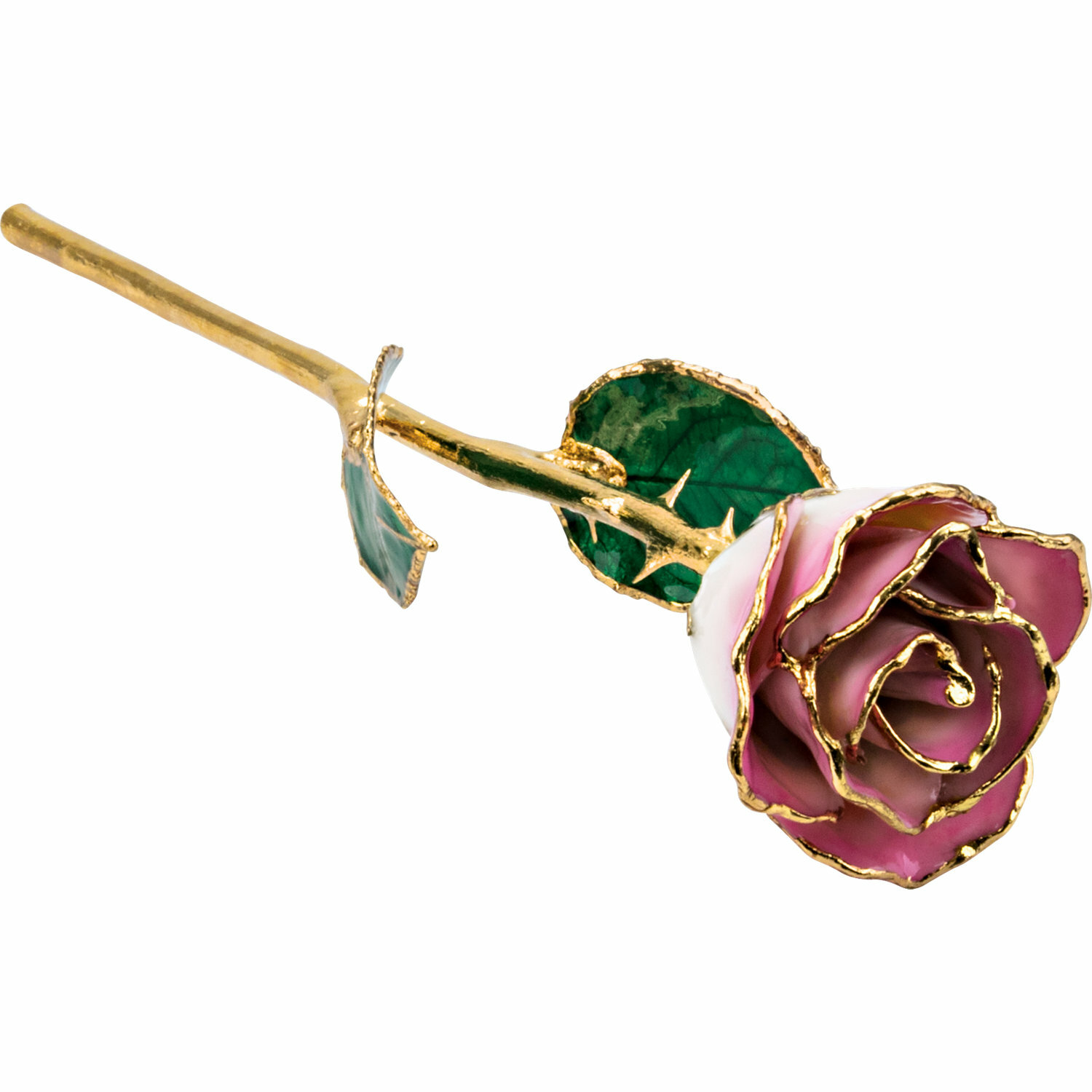 Pink and White Rose 24K Yellow Gold Dipped Lacquered Long Stem Rose 12″