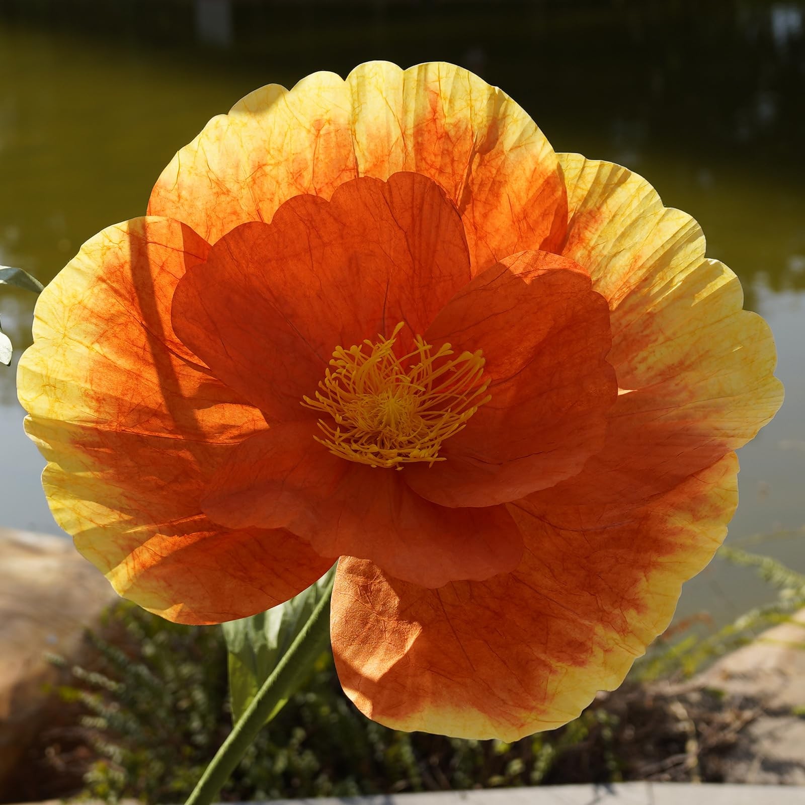 Giant Flowers,Oversized Artificial Flower with Gradient Petals,Large Floral D…