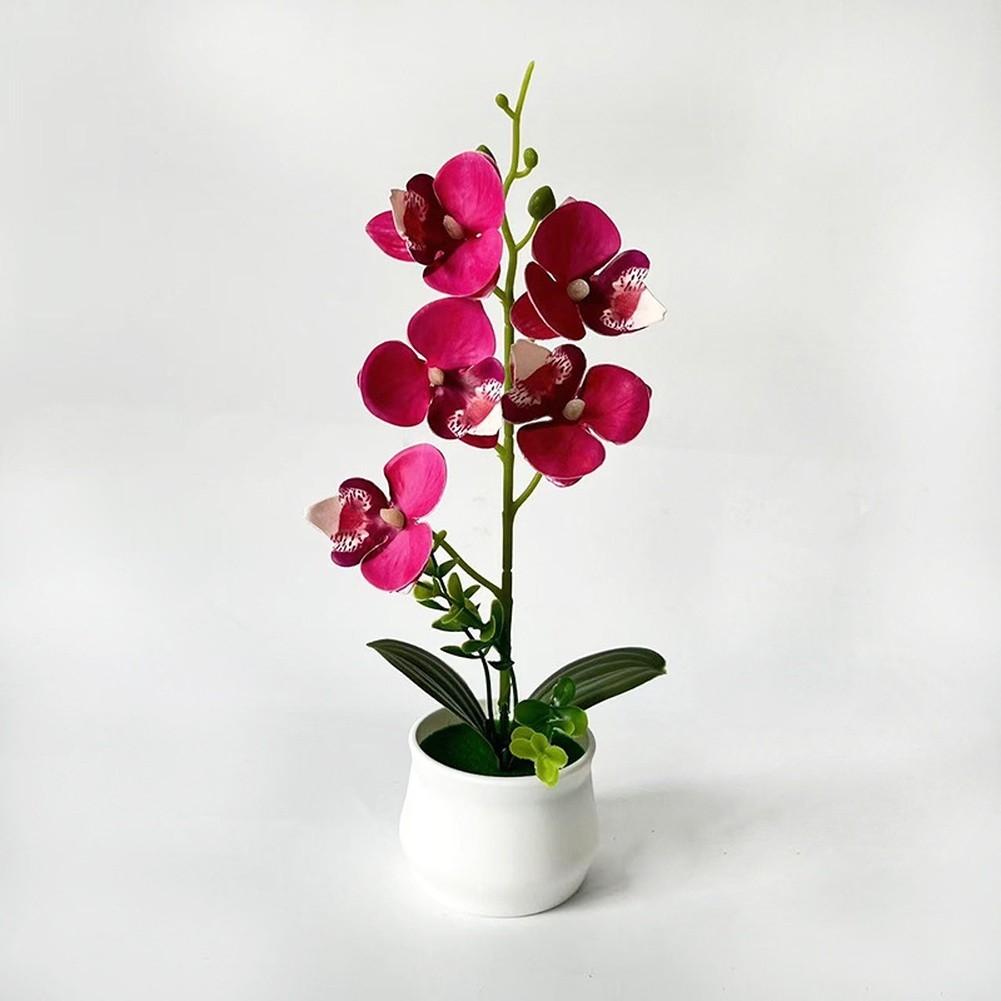 Artificial Orchid Potted Plant 5 Pack White Orange Pink Purple for Home Decor