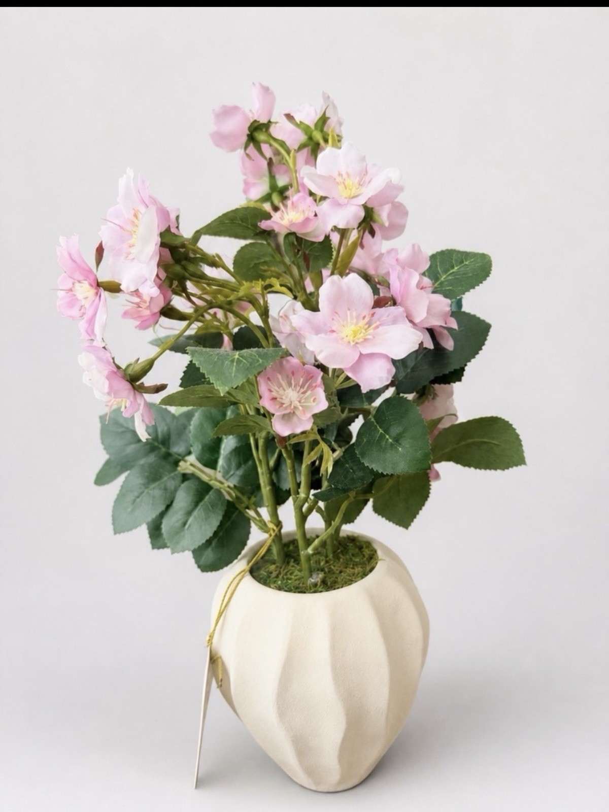 Statement Floral Potted Arrangement – Threshold™ designed with Studio McGee