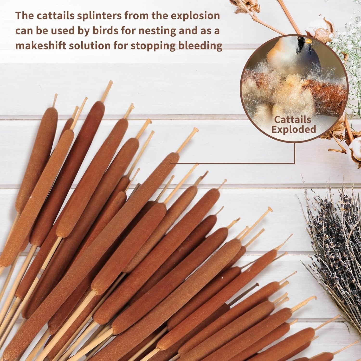 45pcs Large Natural Brown Cattails Bundles – Dried Flowers Real Cat