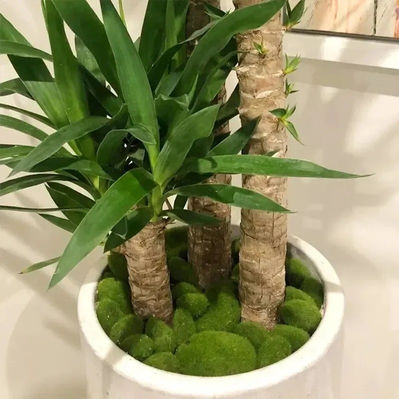 10PCS Artificial Moss Rocks Green Foam Stones Fake Plant Garden Pot Decor Crafts