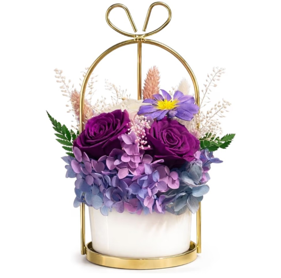 Menana Preserved Purple Rose Flower Arrangement White Pot and Hanger