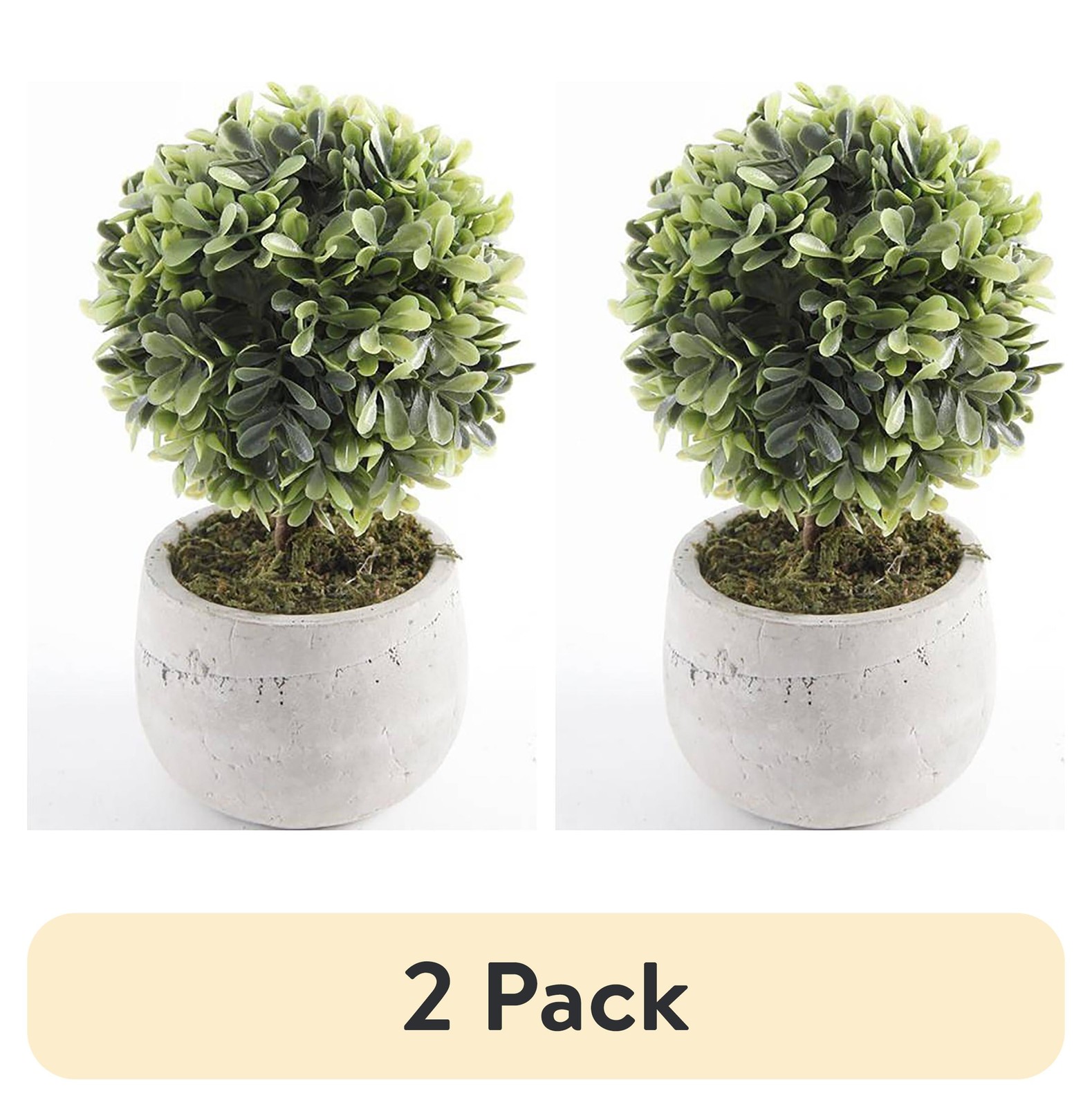 (2 pack 7.5″ Artificial Mini Boxwood Topiary in Gray Cement Planter