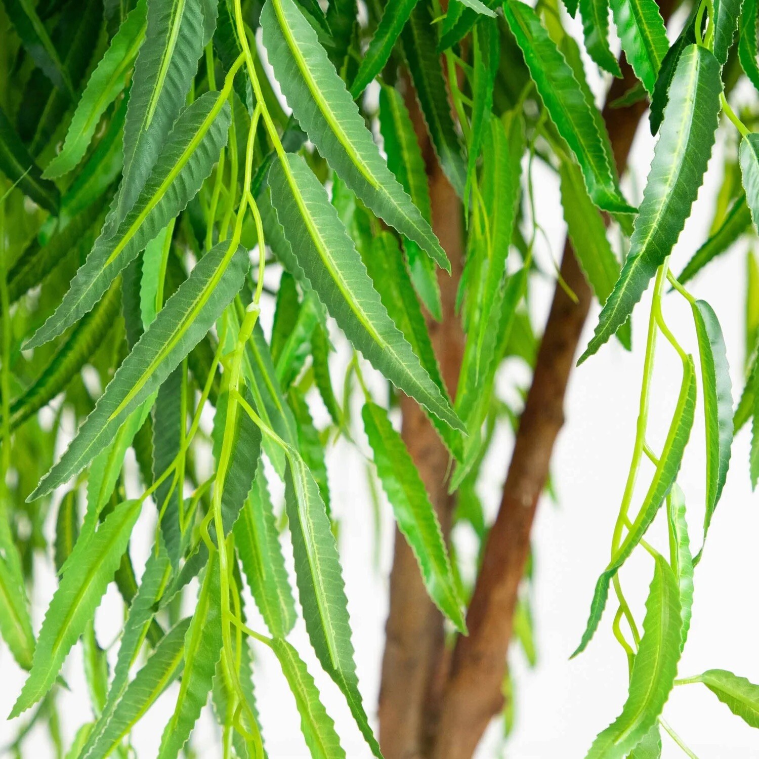 8’ Willow Artificial Tree (Real Touch) w/ Natural Trunk Home Decor. Retail $324
