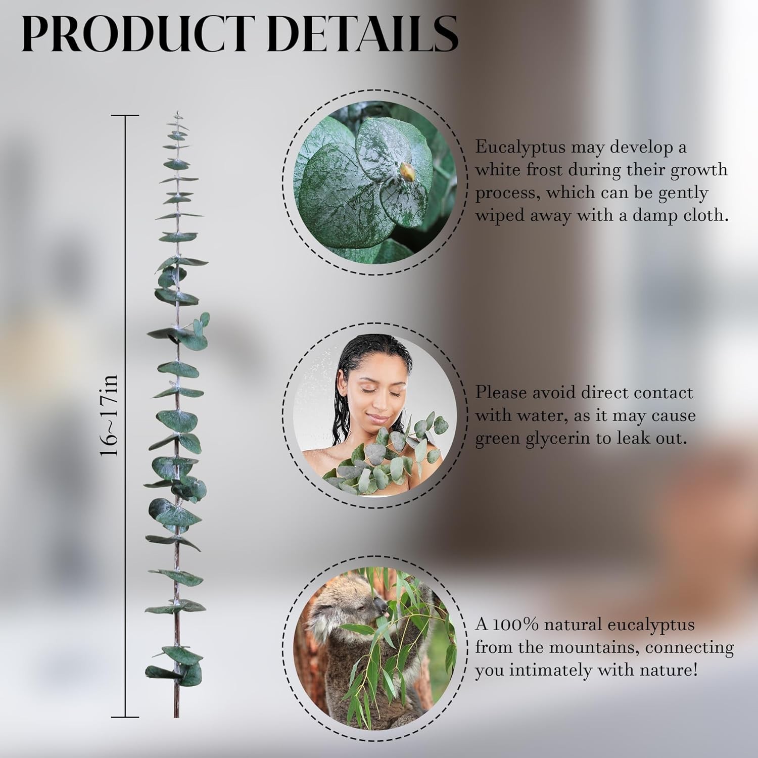 30Pcs Dried Eucalyptus Stems, 17″ Real Preserved Eucalyptus Plant for Shower, Fr