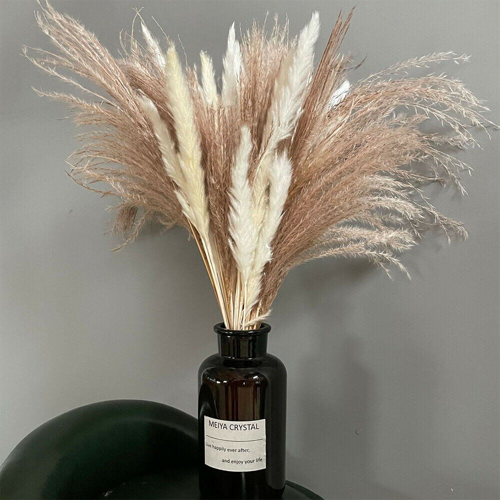 60PCS Natural Dried Pampas Grass Reed Flower Bunch Bouquets Home Wedding Decor