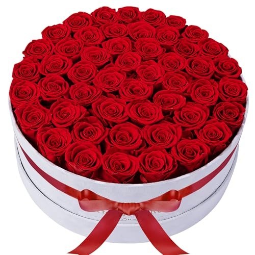 50-Piece Velvet Box Roses – Preserved Flowers for Delivery, Birthday Gifts for W