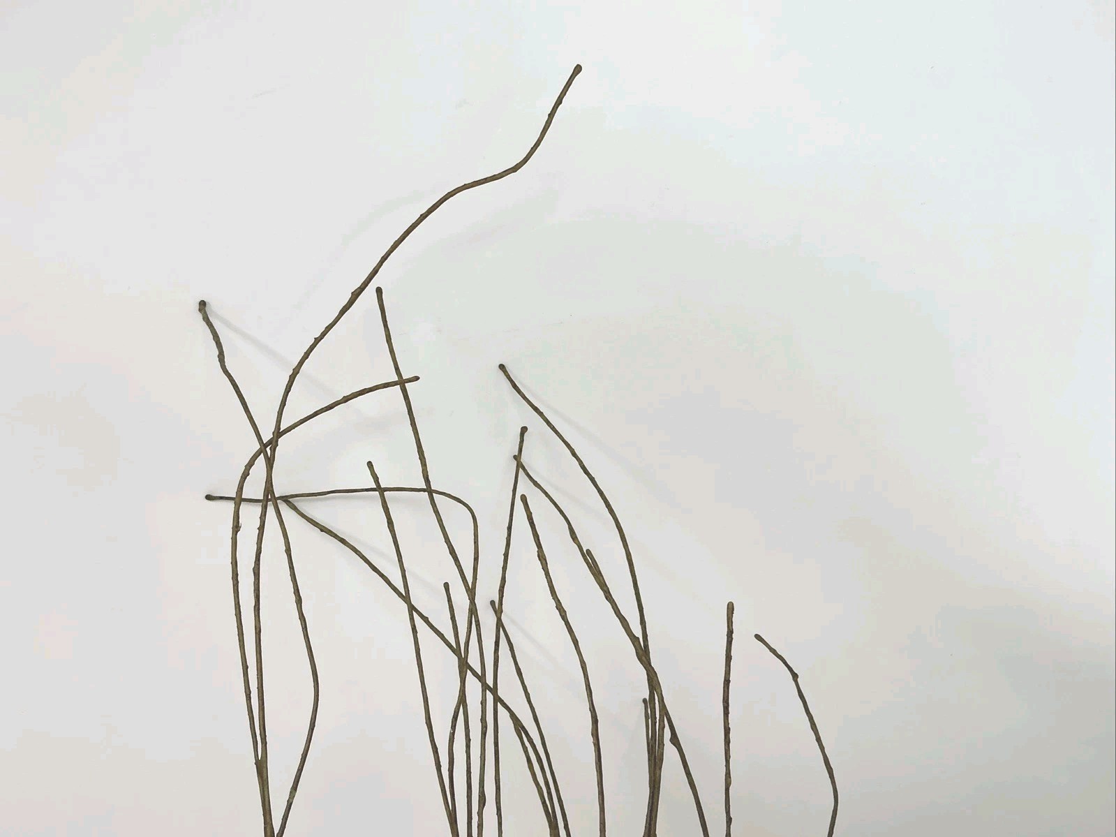 Winward Silks Japanese Zelkova 40” Long Natural Vase Basket Filler 1 Pick NOS