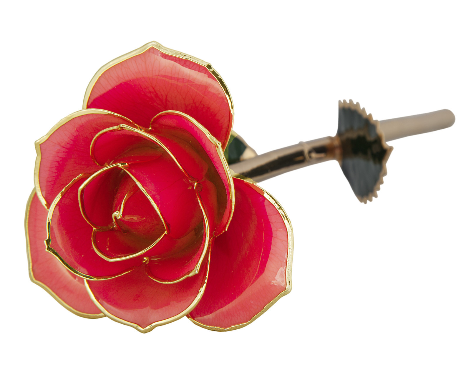 24K Gold Dipped Long Stem Real Rose in Gift Box – Perfect gift for any occasion!
