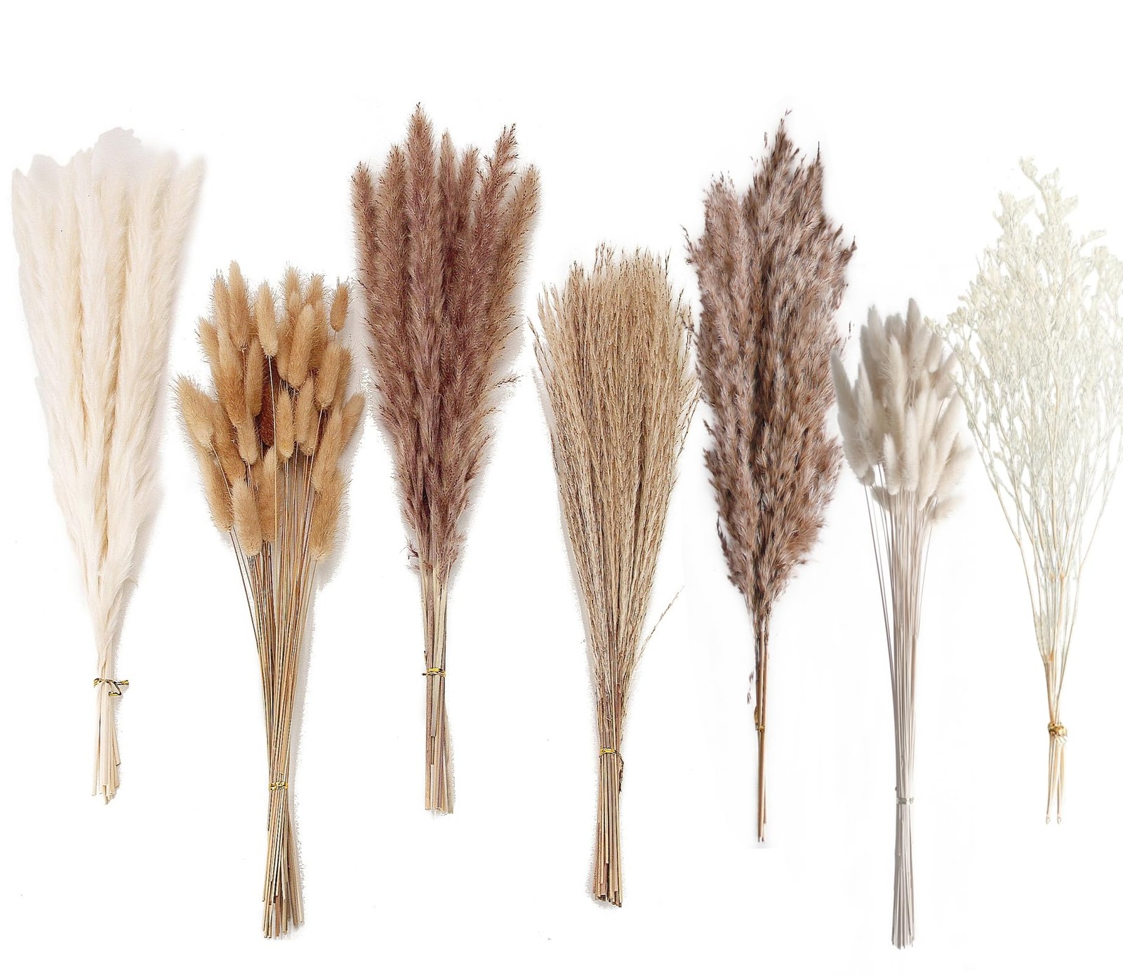 Dried Pampas Grass Decor, 128PCS Pampas Grass with Bunny Tails Dried Flowers,…