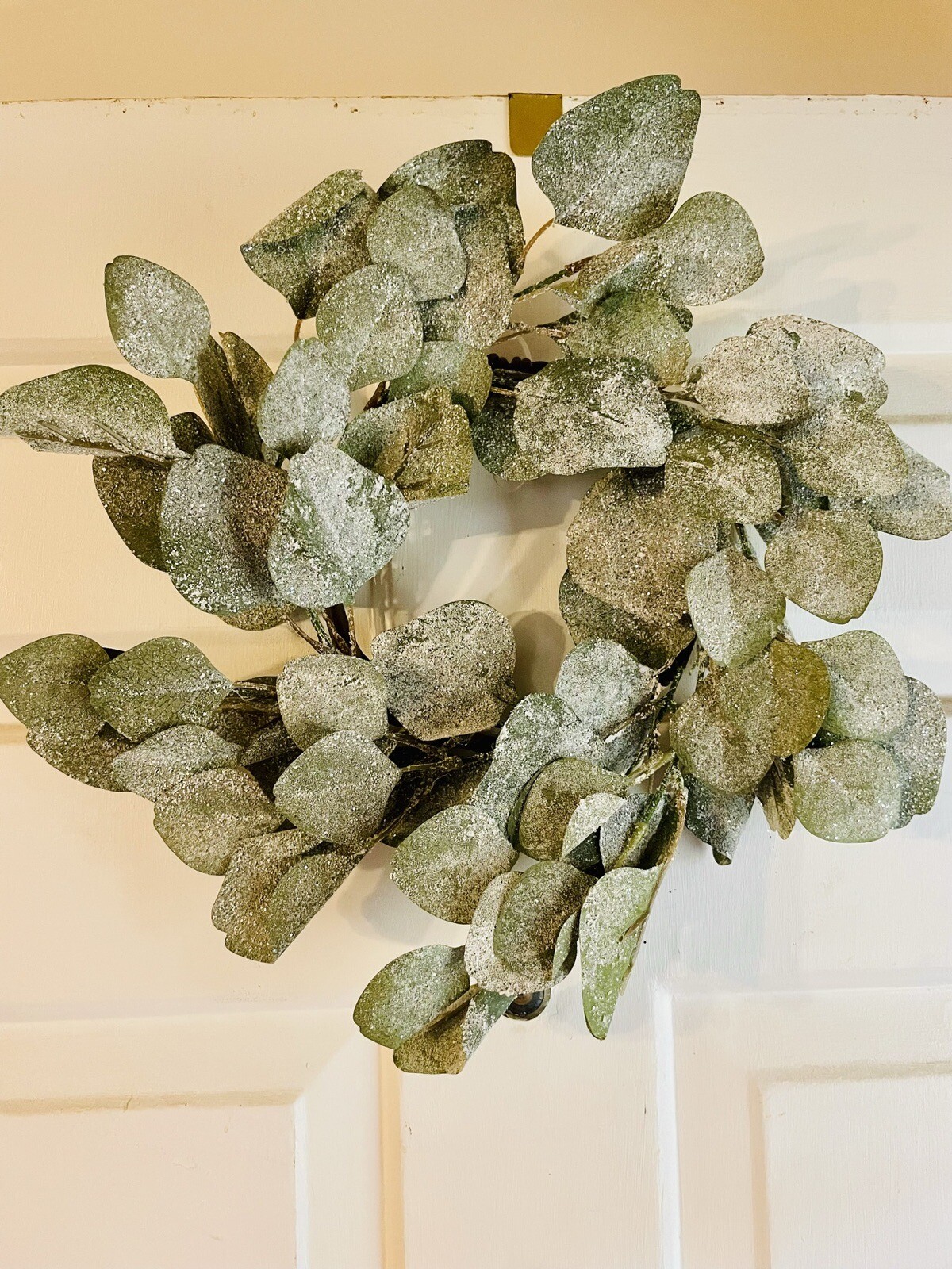 Frosted Dollar Eucalyptus Christmas Or Winter Small Wreath Ring, 6.5