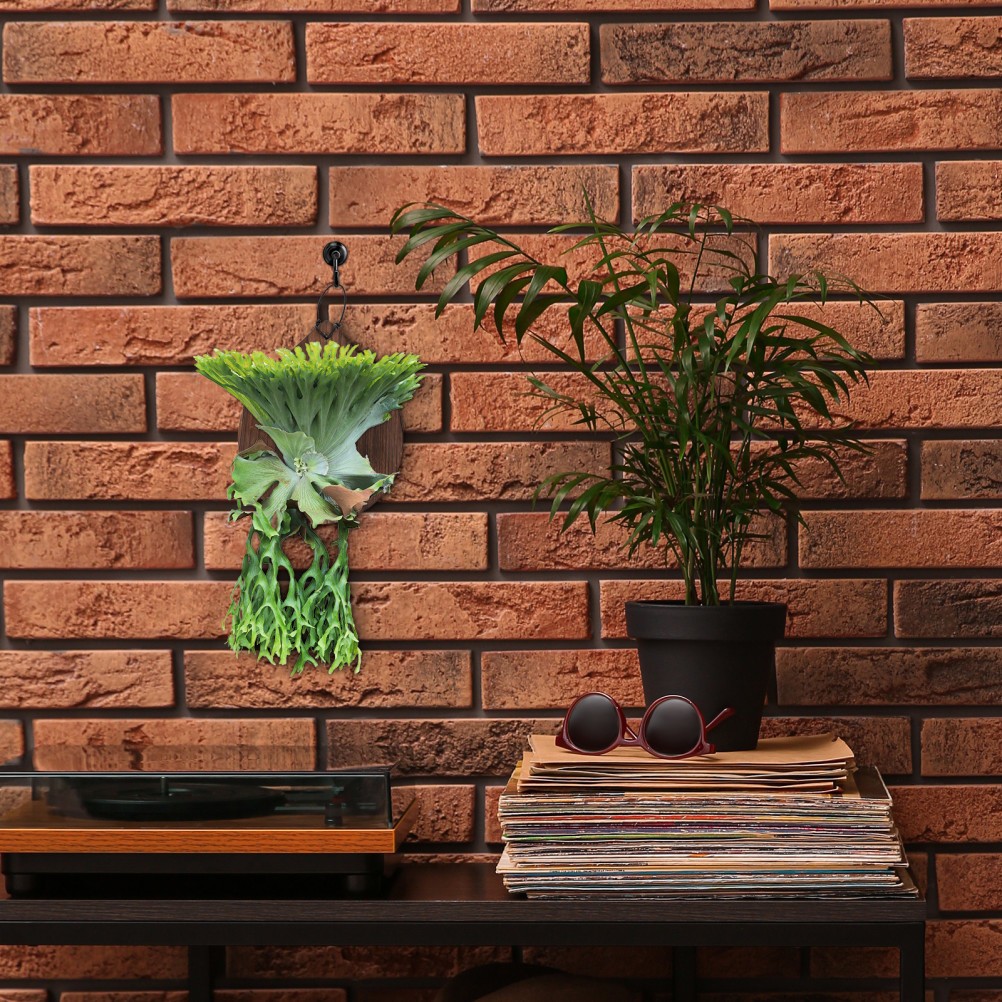 Fern Planting Board Vertical Garden Planter Succulent Mounting Wall Wood