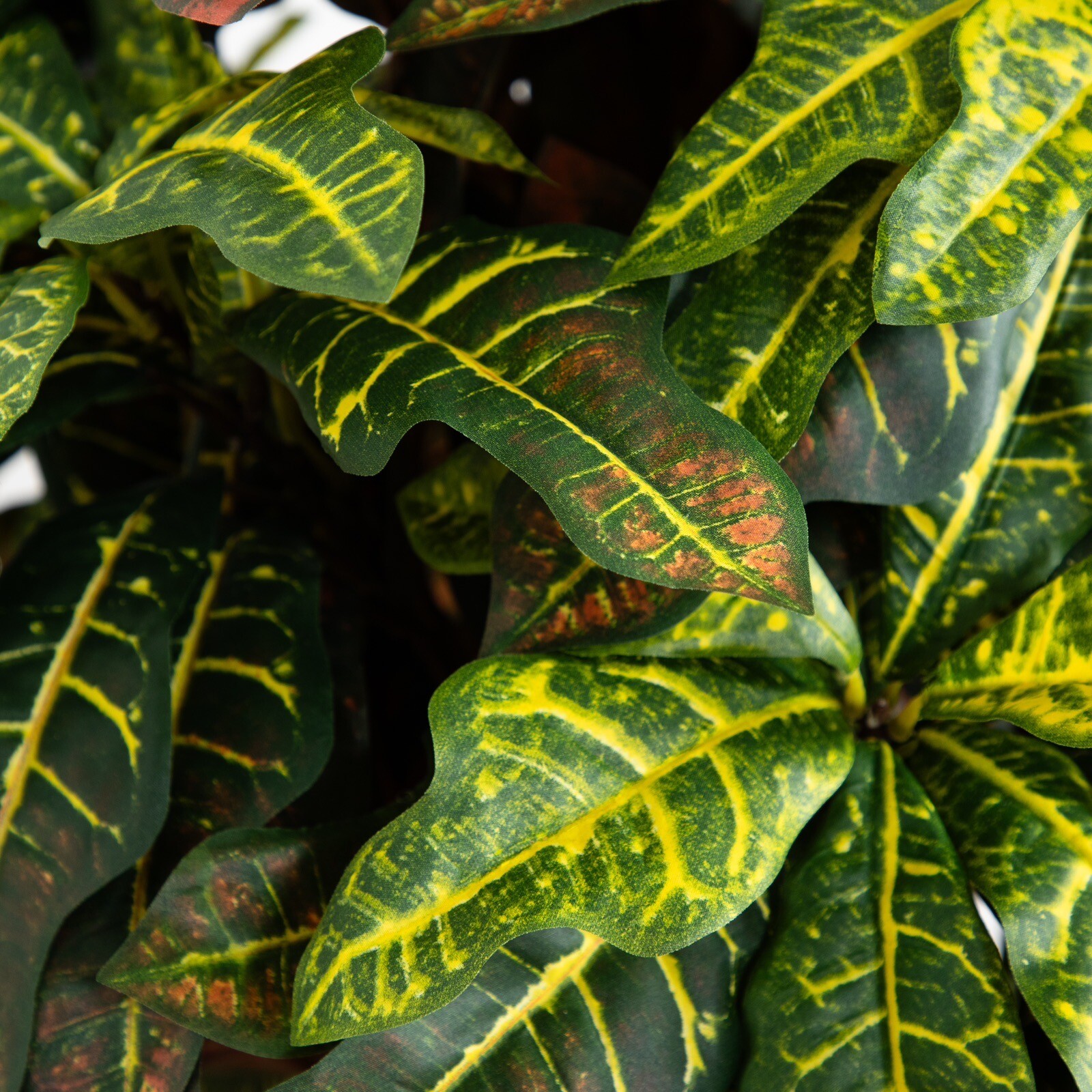 3’ Croton Artificial Tree w/Natural Trunks & 180 Lvs Home Decor. Retail $124