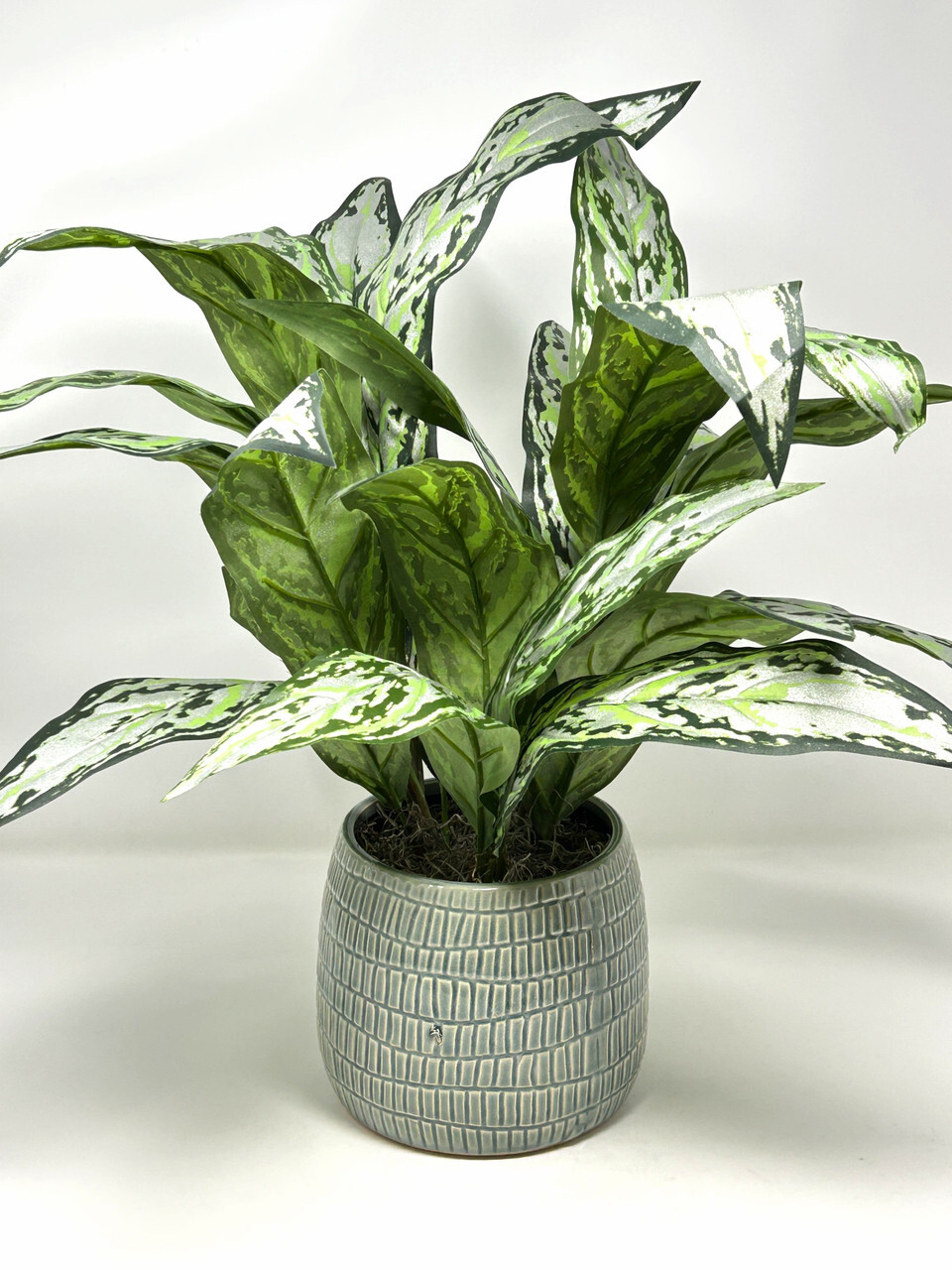 18″ Large SILVER QUEEN AGLAONEMA artificial silk Sword plant, 5″ Cream-green Cer