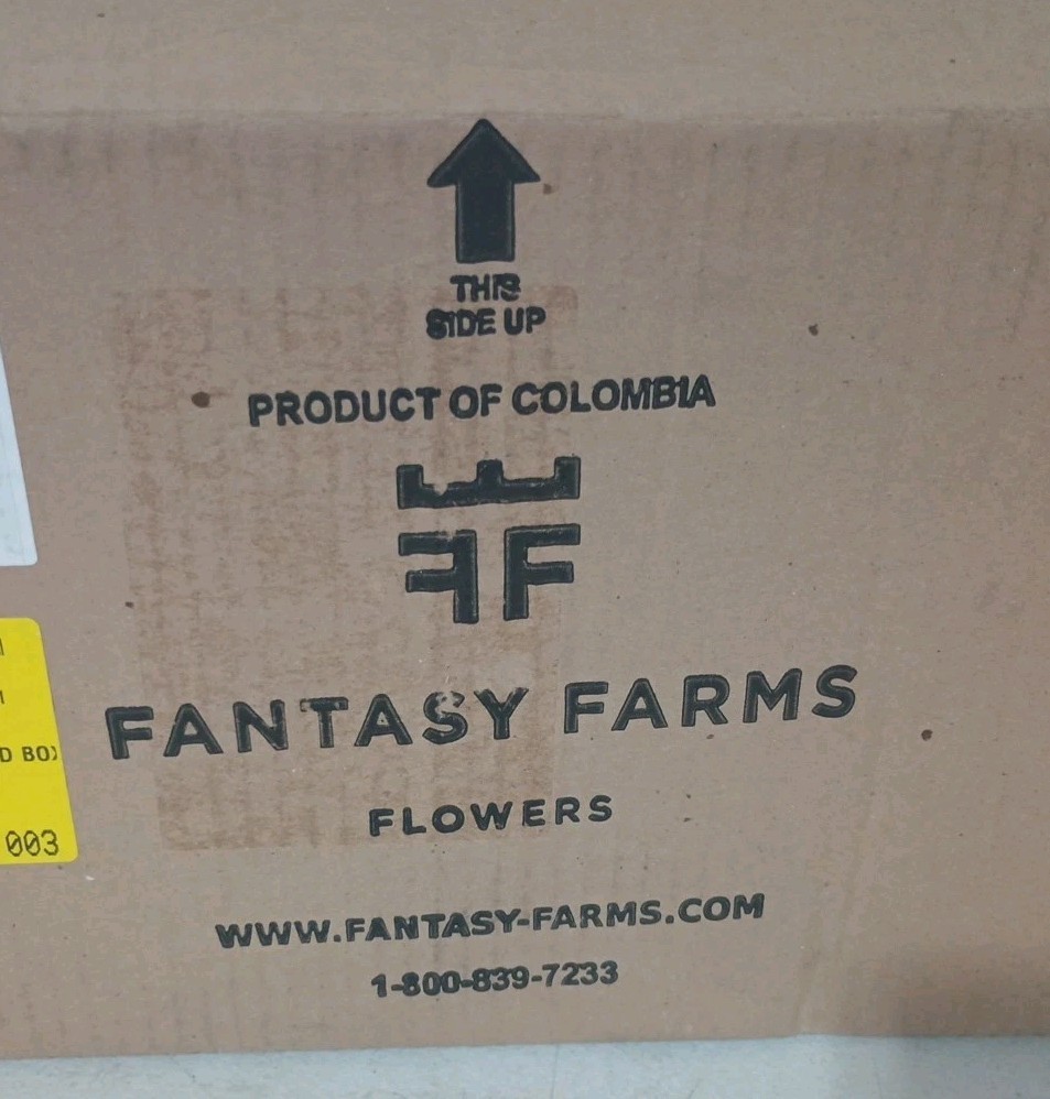 Fantasy Farms Flowers Display Set Of 20 Bijou Roses