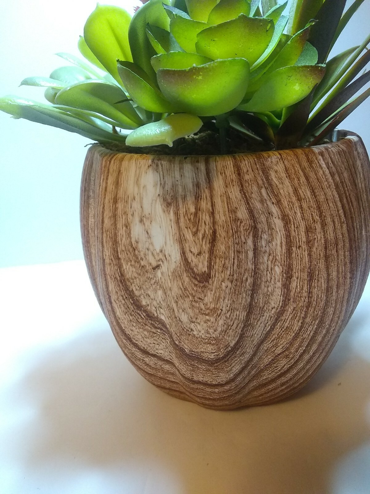 New Ceramic Planter w/ Faux Succulent Plant Decor, Brown & Cream 8 “