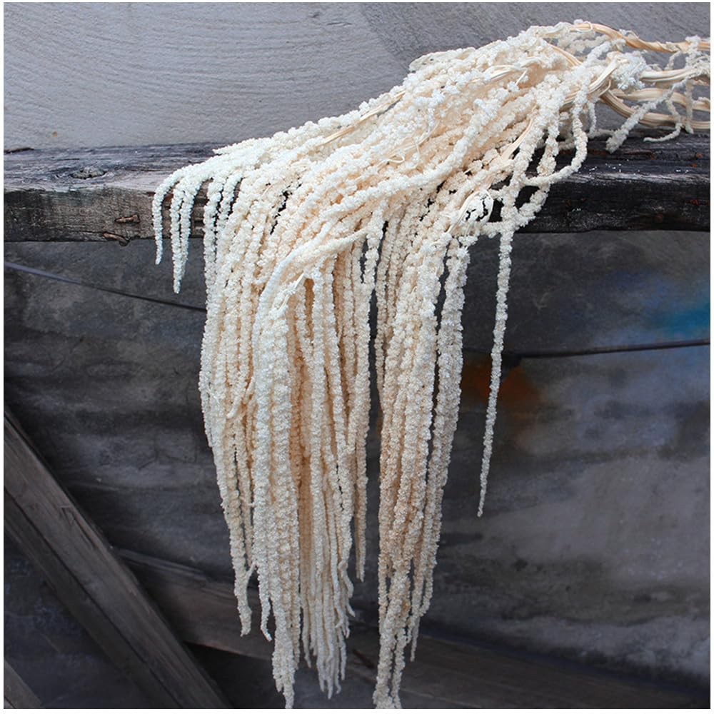 5Pcs Dried Preserved Amaranthus Hanging Flowers 35 Inches White Wisteria Vine…