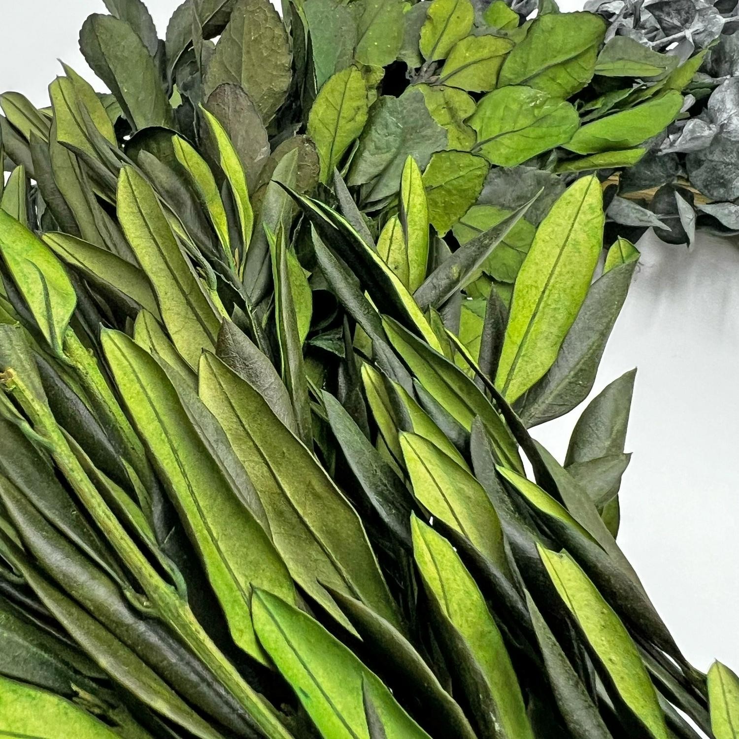 Preserved Decorative Dried Real Eucalyptus And Boxwood Wreath 21 Inch – Green