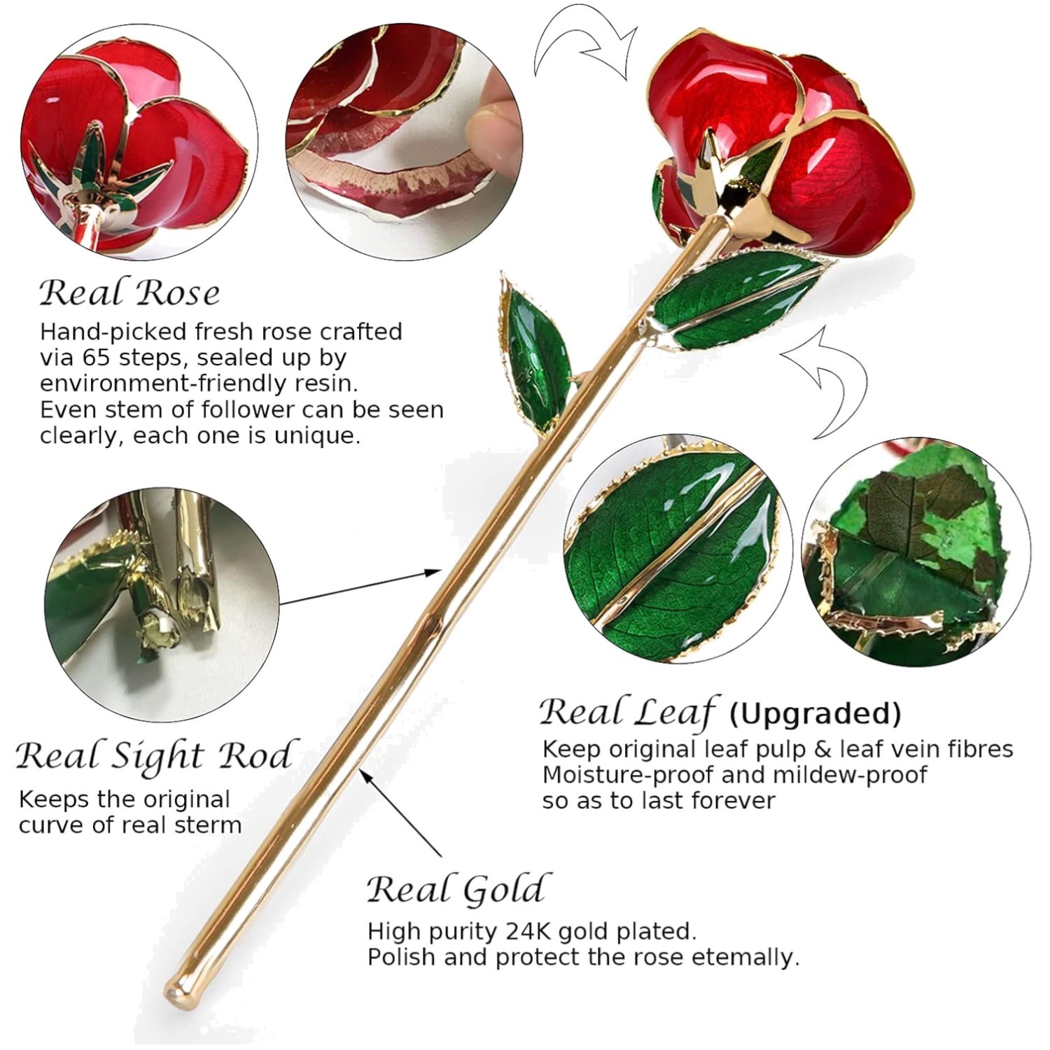 Elegant Gold Dipped Rose – Lasting Romance for Mother’s Day