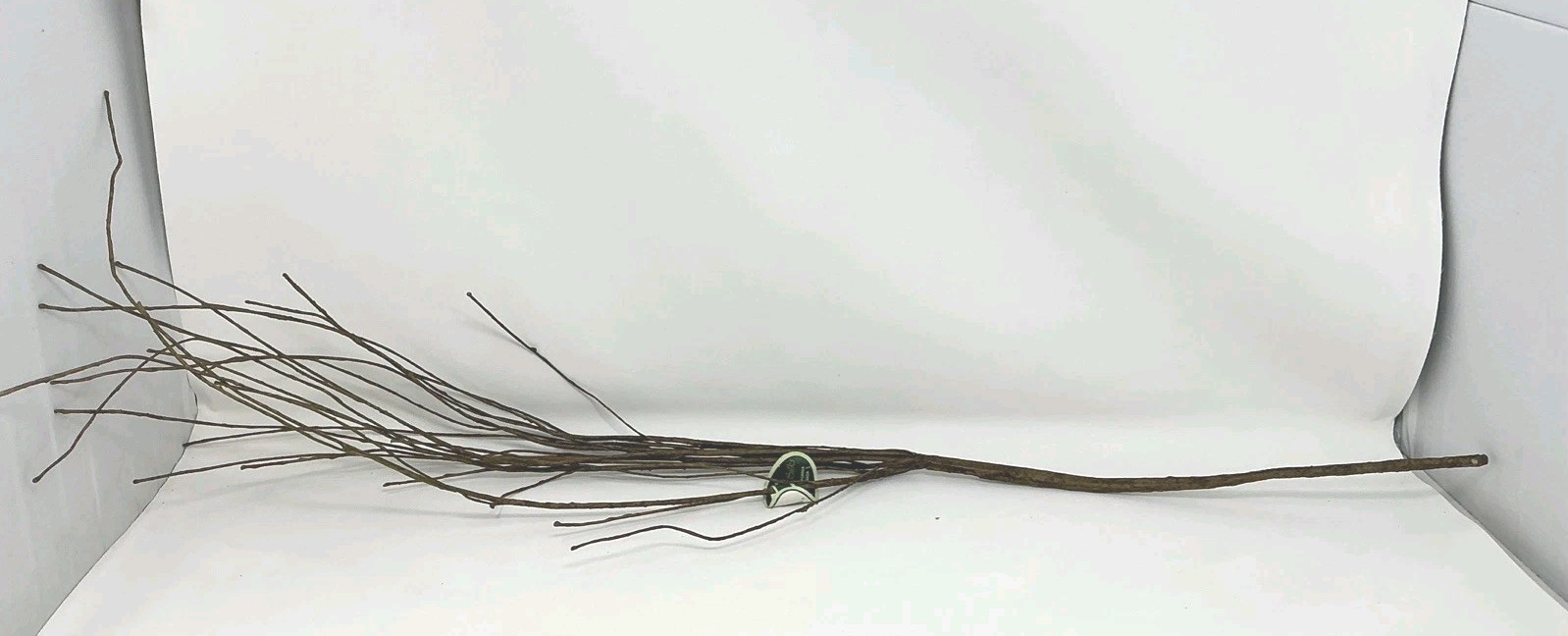 Winward Silks Japanese Zelkova 40” Long Natural Vase Basket Filler 1 Pick NOS