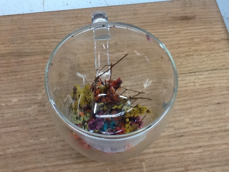 Dried Flowers Glass Mug Double Wall Coffee Tea Cup Botanical Floral Fun Gift